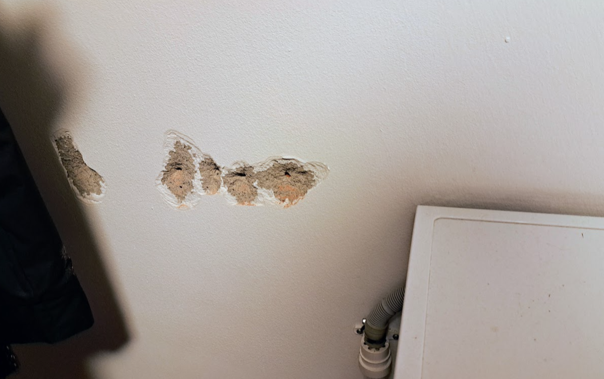 IA6bK1wgc.png