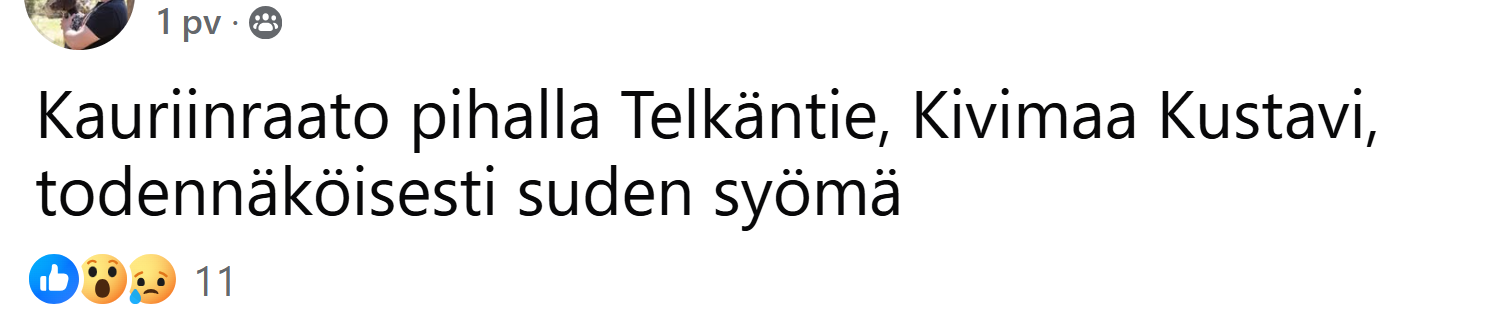 sn3sLfqhk.png
