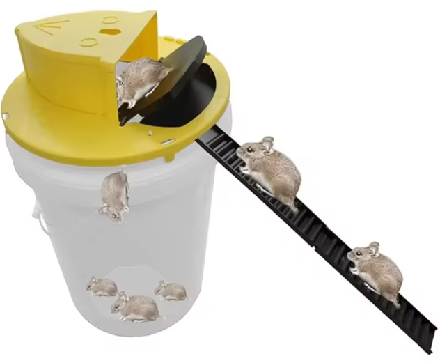 u068SzDd5.png